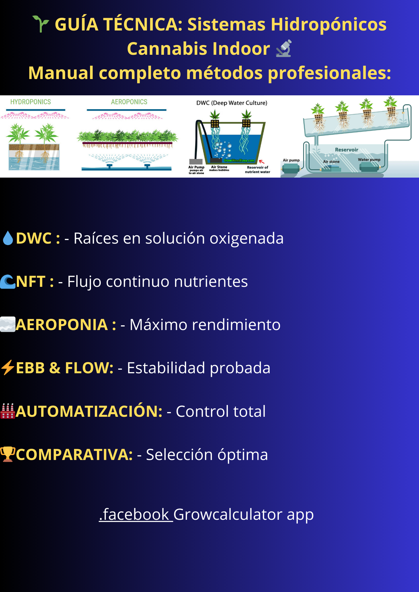 Sistema Hidropónico 7